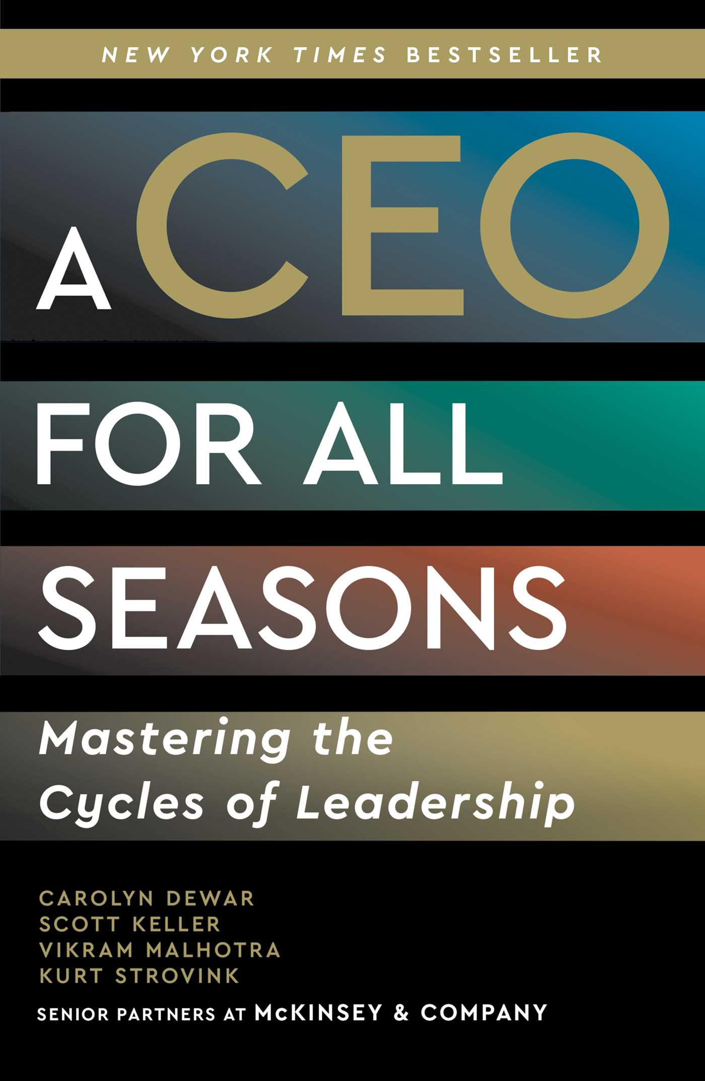 A Ceo For All Seasons book cover